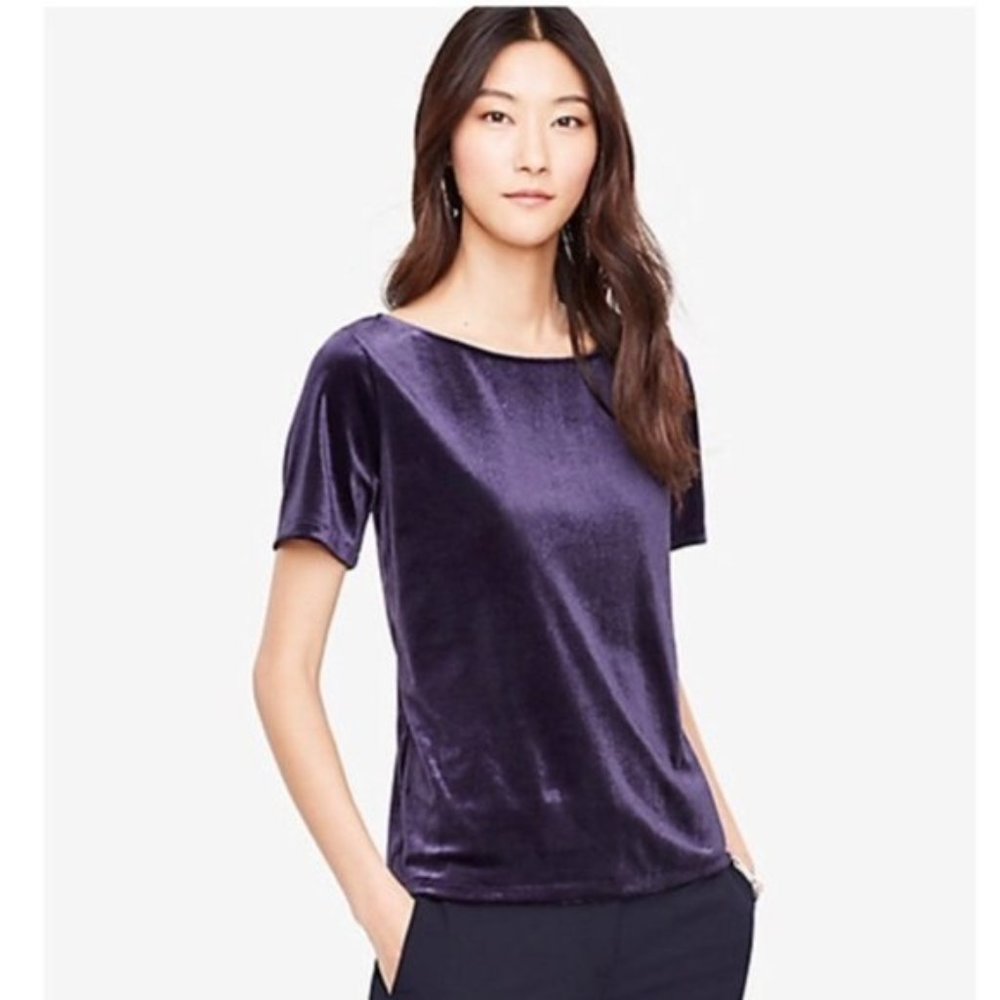 Ann Taylor Blue Velvet Tee Size Small
